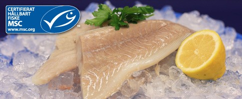 Sejfilé 125-250g MSC