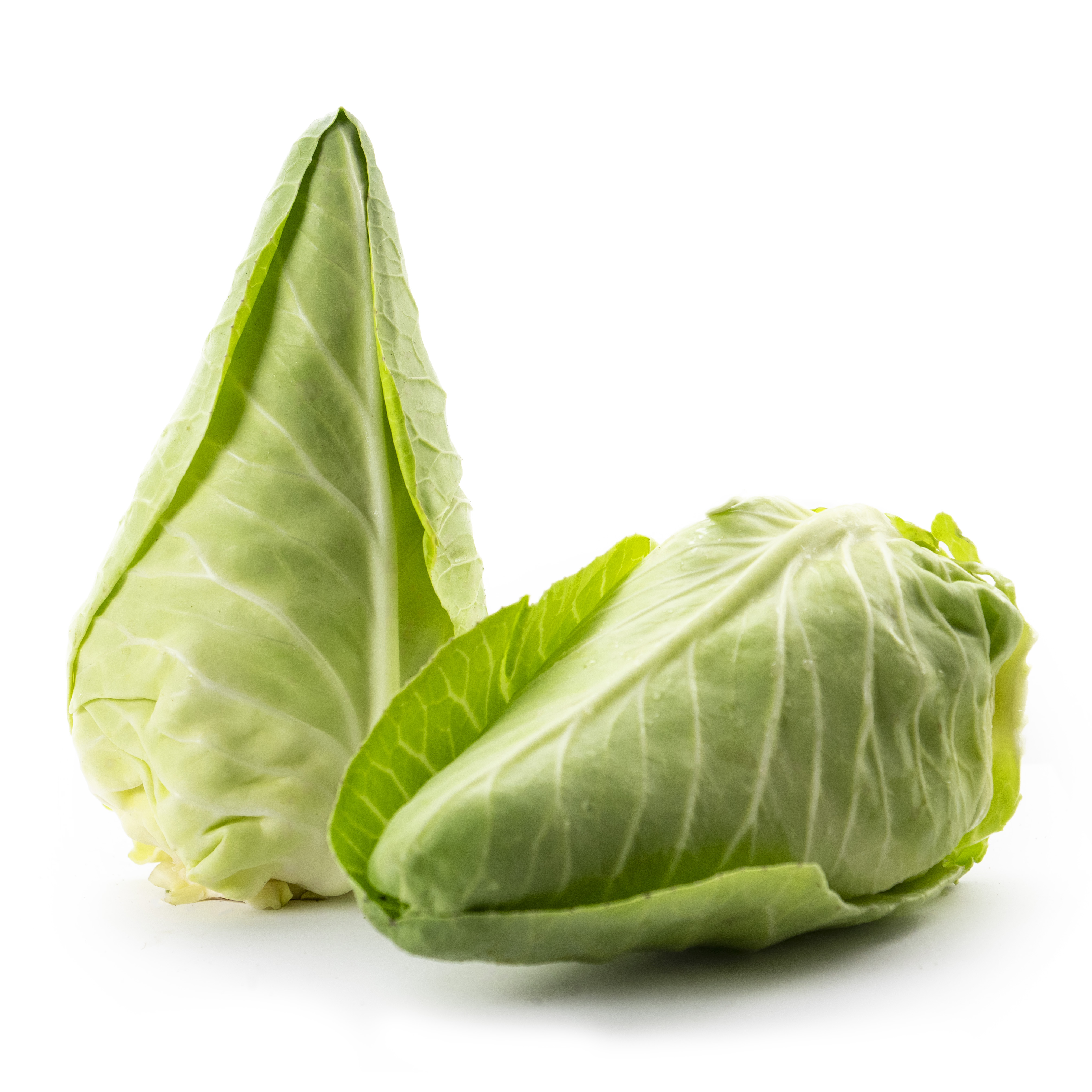 Spetskål Sverige